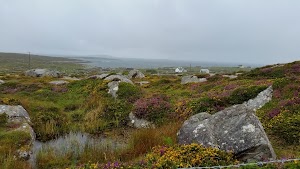 Guide to Connemara