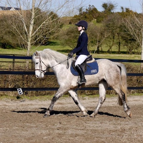 Island View Riding Stables