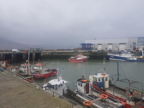 Fenit