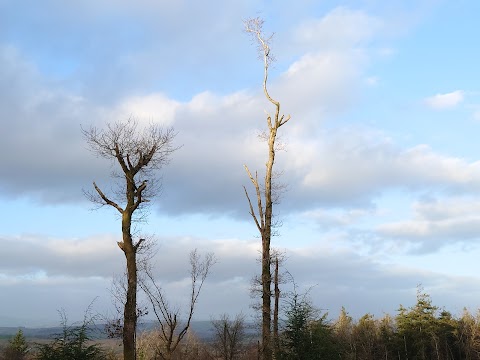 Warrenscourt Forest Recreational Area