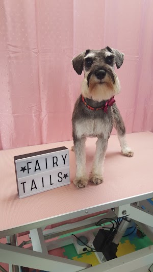 Fairy Tails Grooming, Dog, Pet Groomer Kanturk. @groomingkanturk on facebook