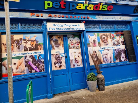 Pet Paradise