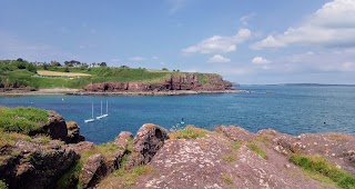 Kittiwake's Rock