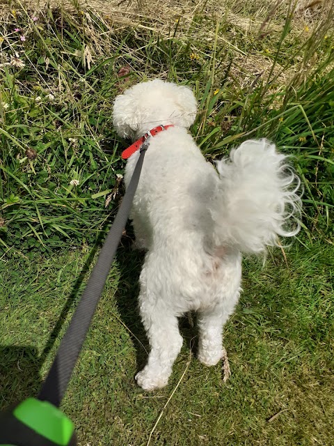 Johnduffswood Dog Boarding Kennels