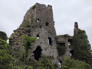 Carrigogunnell Castle