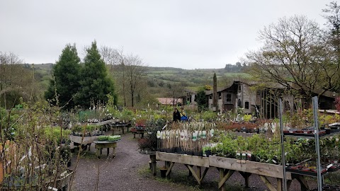 Future Forests Garden Centre