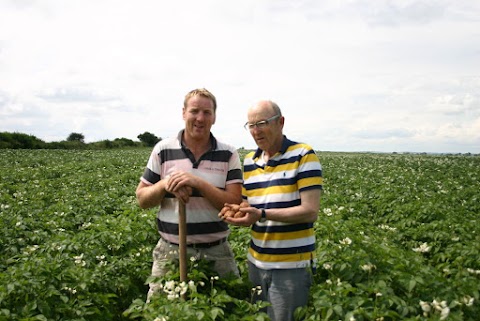 Castlecor Potatoes