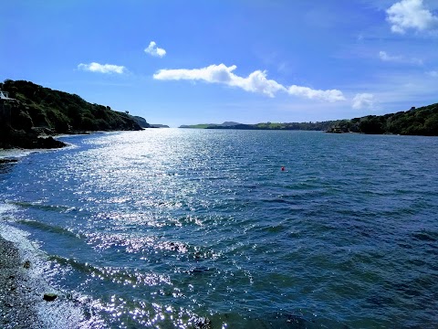 Cork Whale Watch