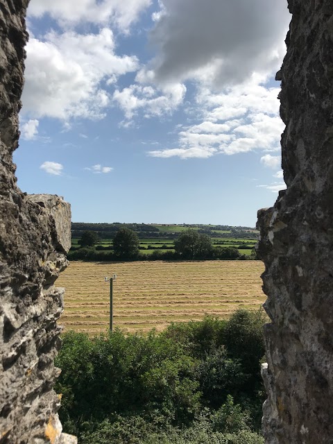 Ballintotas Castle