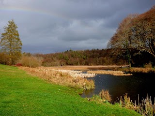 Curraghchase Forest Park Coillte