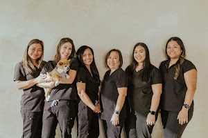 Melanie Vallejos DDS Inc