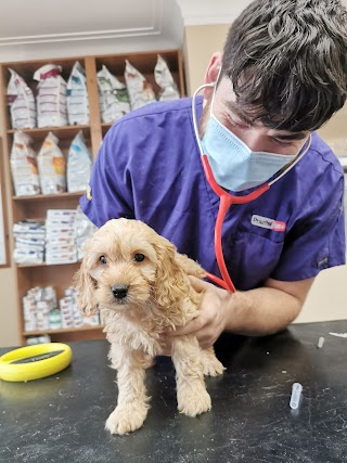 Ballina Veterinary Clinic