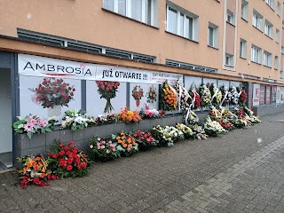 Kwiaciarnia Białystok - Ambrosia - kwiaty, wiązanki, wieńce pogrzebowe Białystok