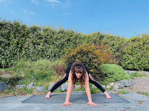 The Celtic School of Yoga