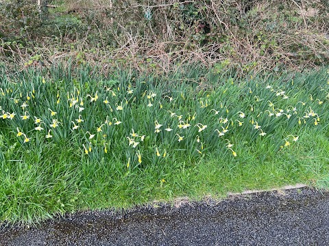 Sligo Regional Park