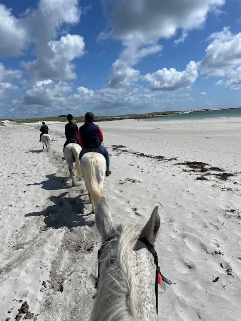 The Point Pony Trekking & Horse Riding Centre