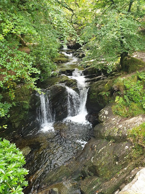 Killarney National Park Car Park