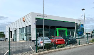 SKODA Parts Ireland