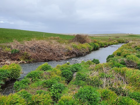 Elegant Dingle Tours