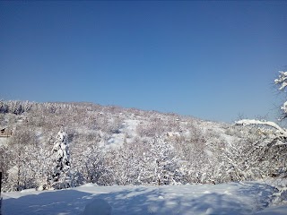 Церква Покрову Пресвятої Богородиці УПЦ