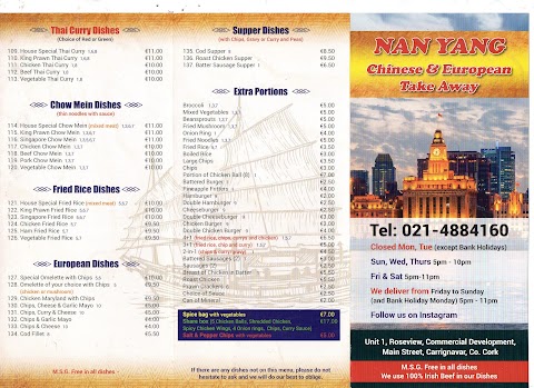 Nan Yang Chinese and European takeaway