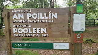 Pooleen Wood