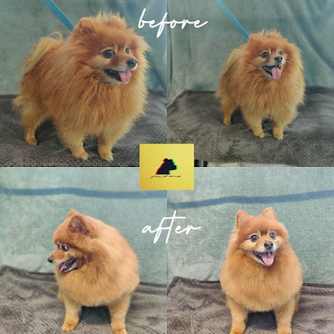 Dog Grooming- Galway Pet Services
