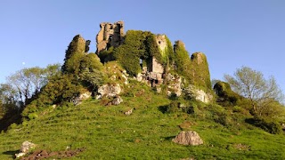 Carrigogunnell Castle