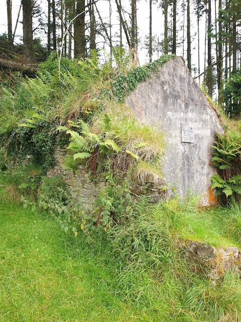 Slieve Bloom Mountains