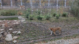 Park Śląski Ogród Zoologiczny