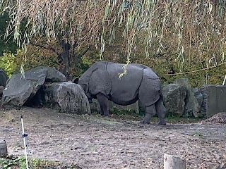 Warszawa ZOO