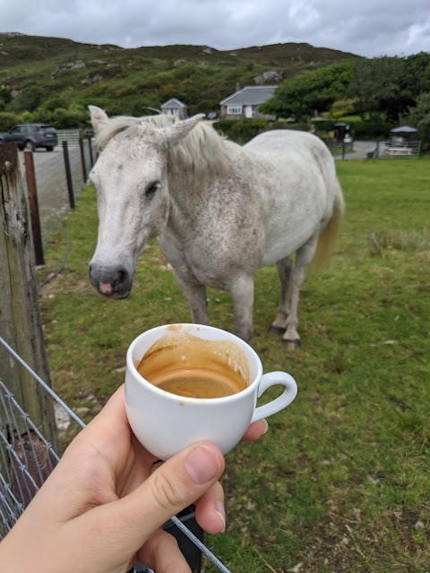 The Coffee Corral