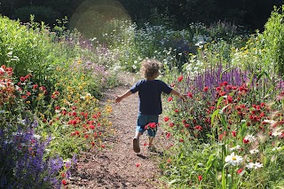 Nurture by Nature - Outdoor Early Learning And Mindfulness Centre