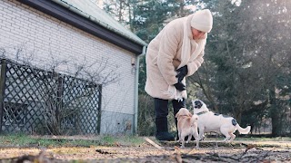 Pensjonat dla psów Świat Zoo