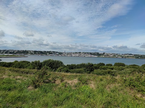 Spike Island Tours