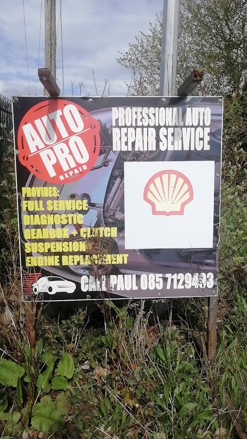 Auto Pro Repair