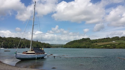 Cork Whale Watch