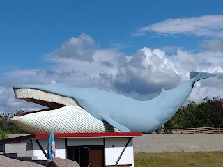 Ocean Park Władysławowo