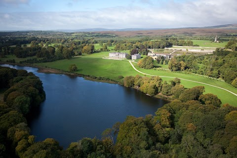 Ballyfin Demesne