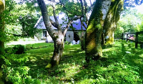 Lickeen Cottage