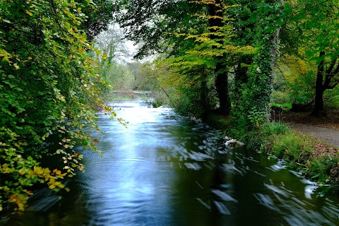 Doneraile Wildlife Park