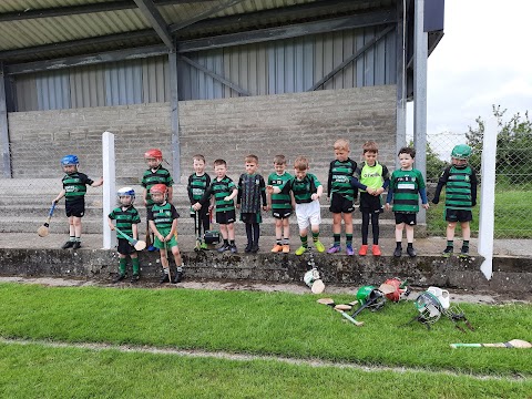 Hospital Herbertstown GAA Club