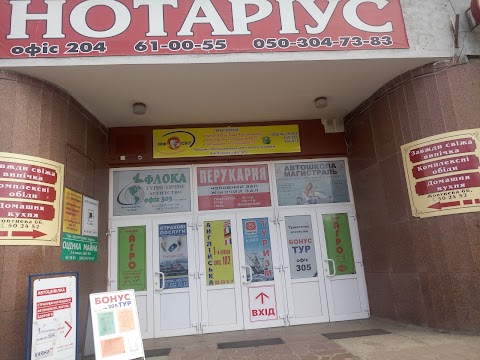 Інфосвіт