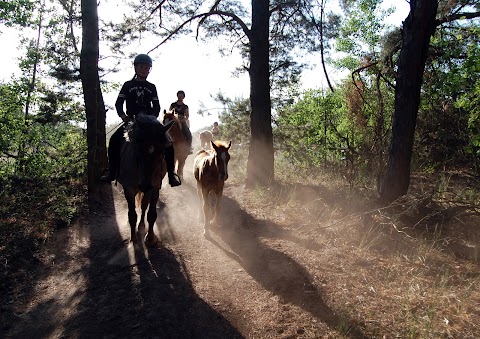 Кінний дитячий табір Like Horses Camp