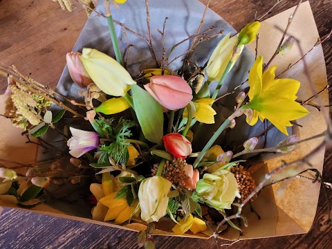 The Burren Flower Farm