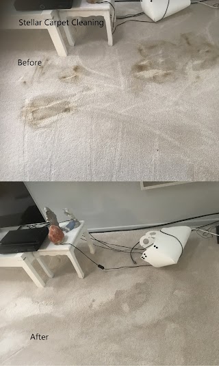 Stellar Carpet Cleaning