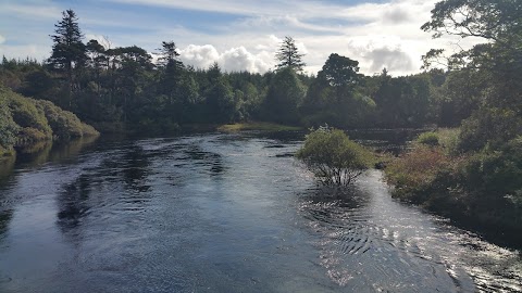 Connemara Shooting School