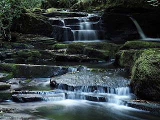 Cathole Falls