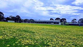 Highvale Secondary College