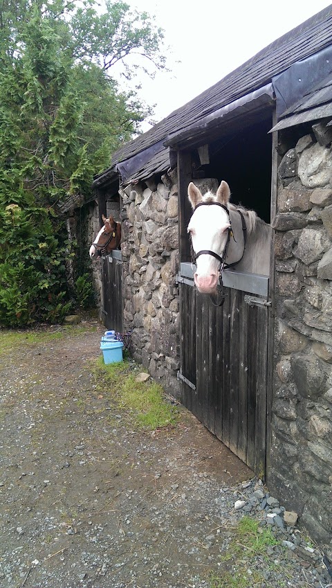 Lough Derg Equestrian Centre. EST 1992. AIRE Approved